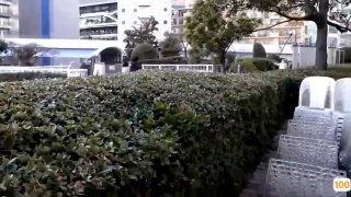 颜值白衣妹子，舌吻摸奶调情穿上黑丝情趣装，抽插后入大力猛操